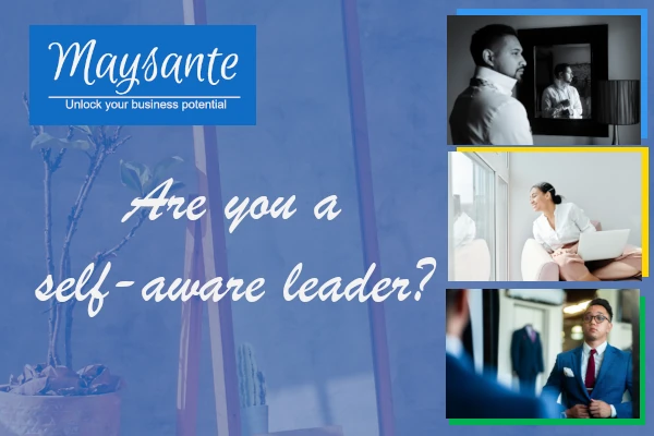 Mayante -are you a self-aware executive leader