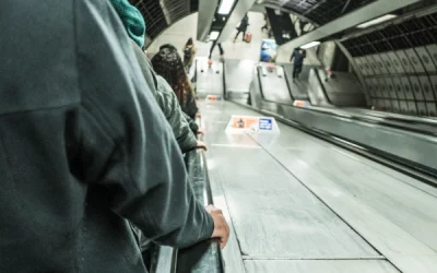 Skills Shortages and Employment Challenges